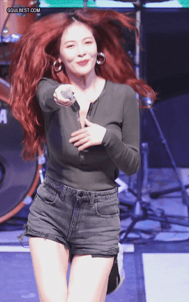 1 (1).gif