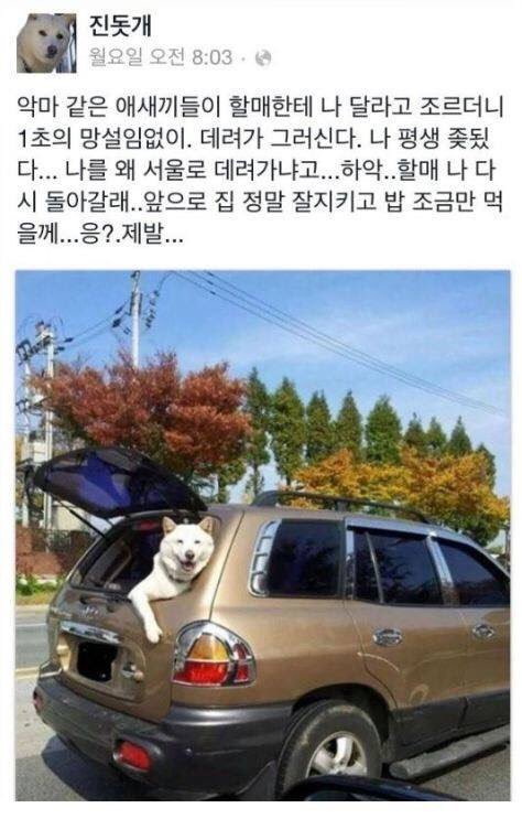 02.jpg