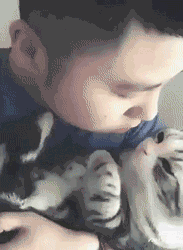 3618533_1525139238067.gif
