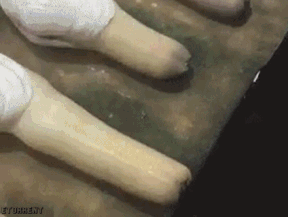 1 (1).gif