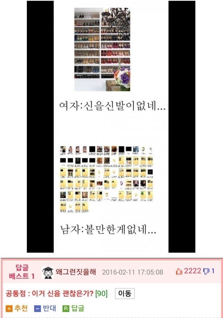 남녀 차이점.jpg