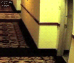 모텔주의.gif