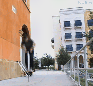 1532416672958.gif