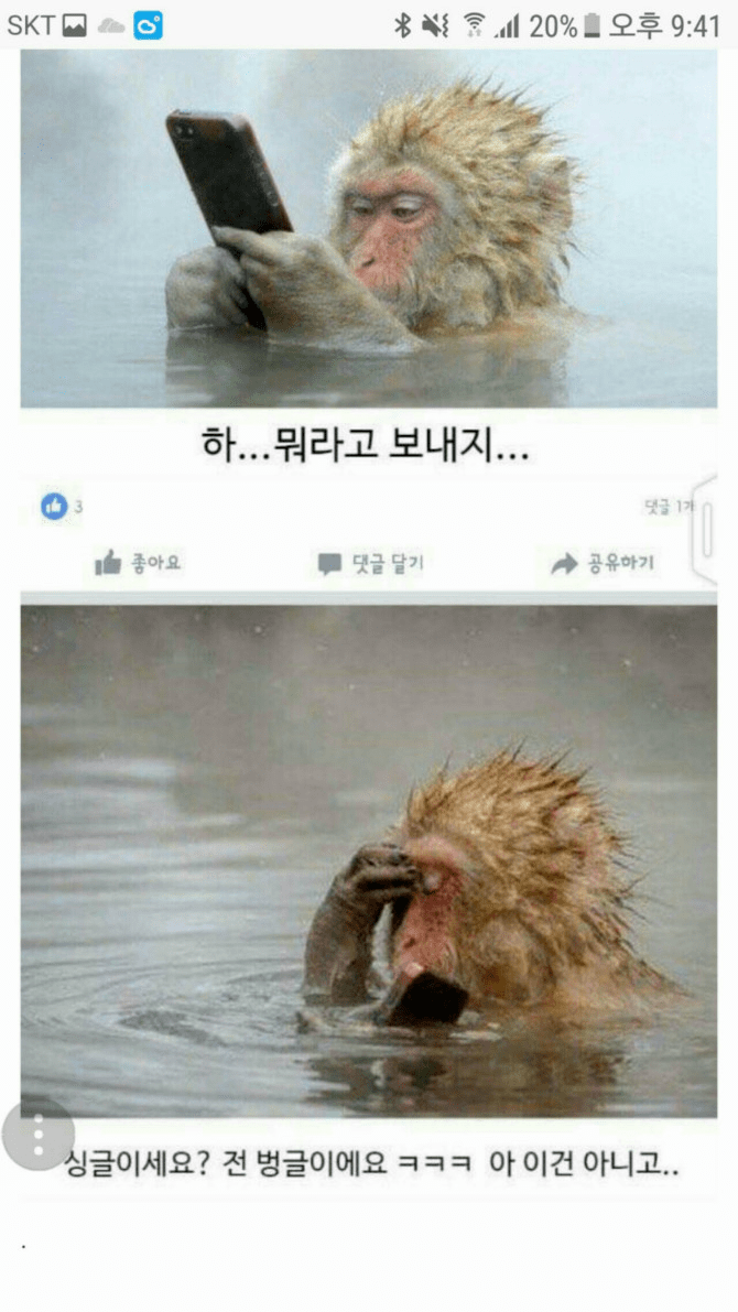처음 보낼때.png