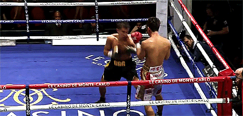 13.gif