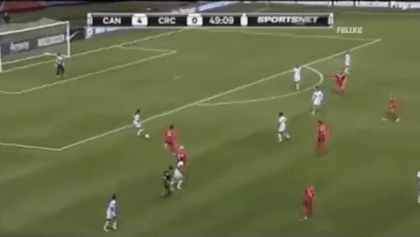 5.gif
