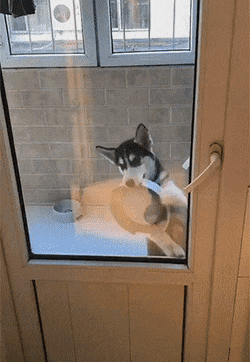 1540732969071.gif