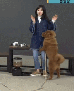 1.gif