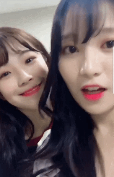배지헌.gif