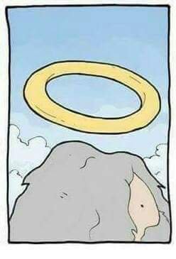 55555555.jpg