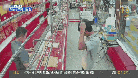 DishonestUnsteadyLangur-size_restricted.gif