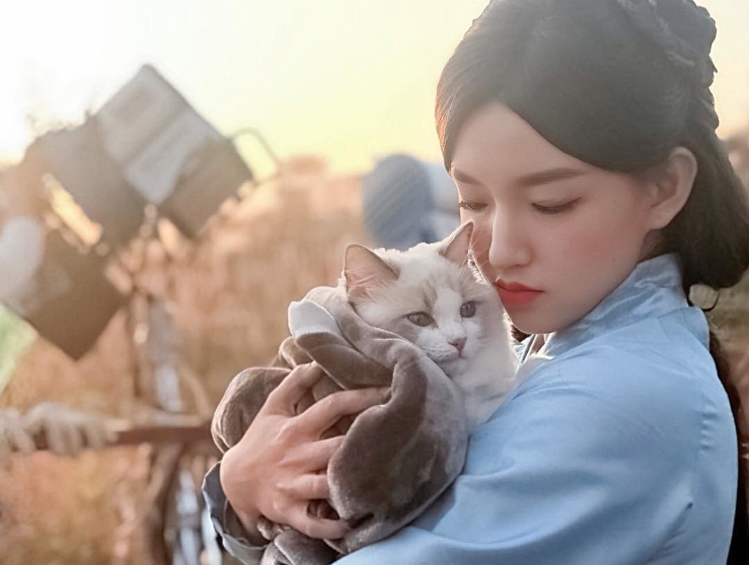 chengxiao_0715_45806865_294463987844158_8805222544748539508_n.jpg