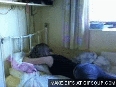 11.gif