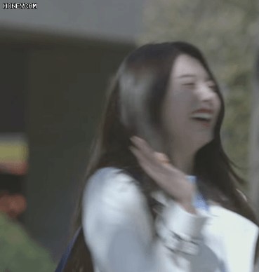 1544182437336.gif