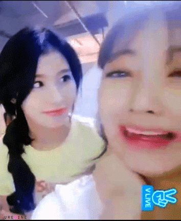 사나지효 (2).gif