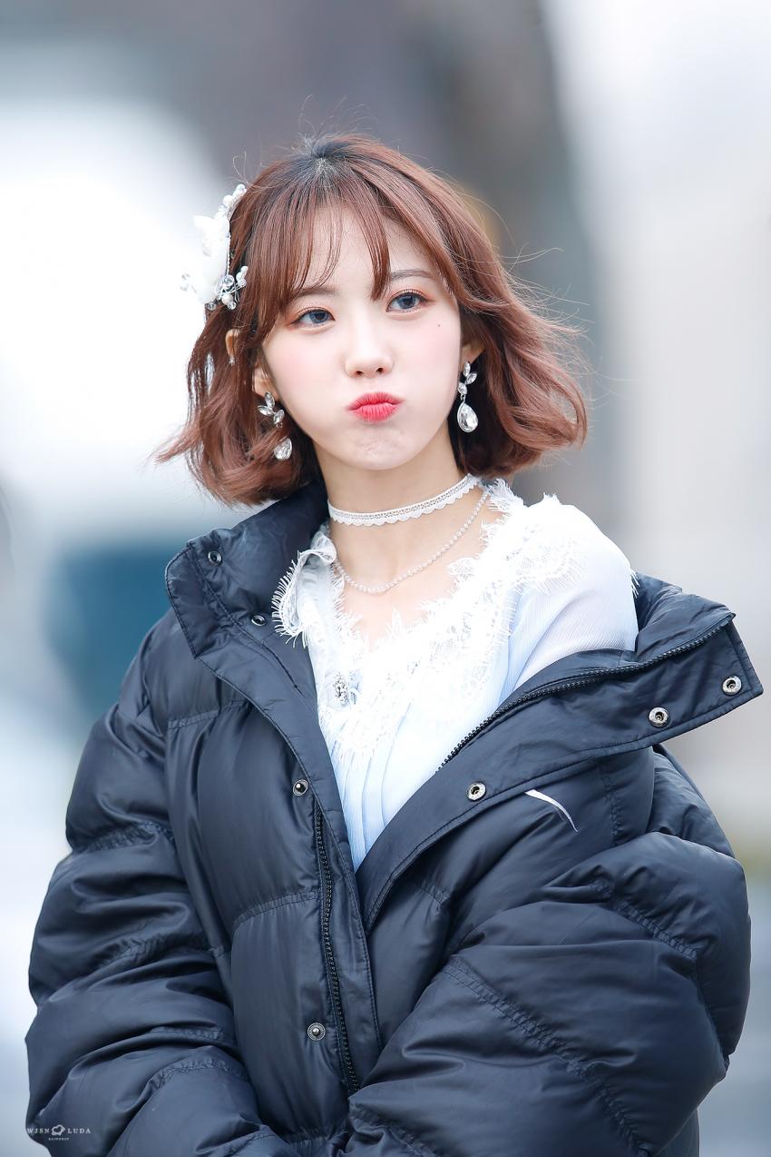 20190120000727_xzpmircf.jpg