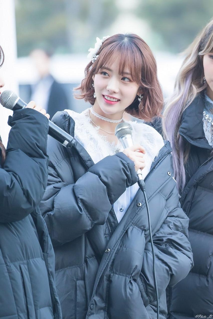 20190120000726_wltdogaz.jpg