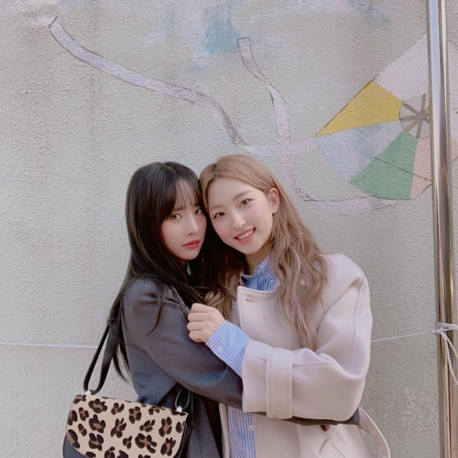 20190223181721_okaaxphe.jpg