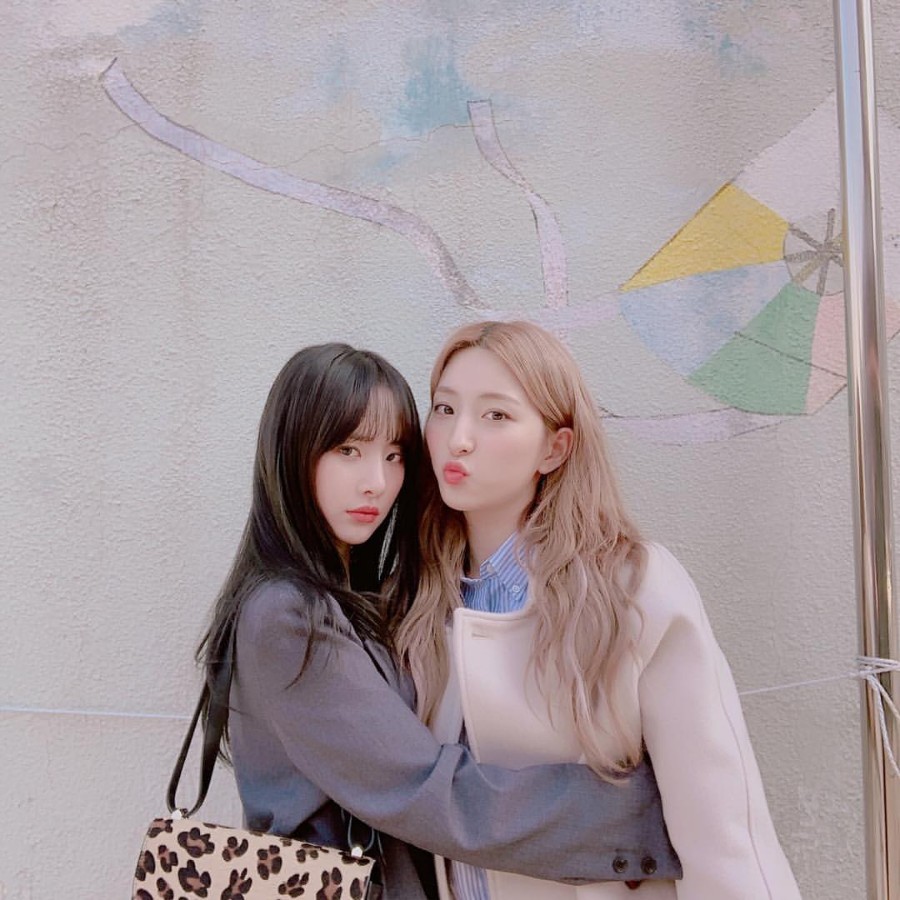 20190223181721_ubofqorm.jpg