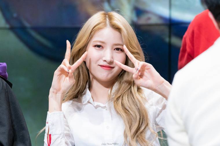 20190201203624_wigqmlaf.jpg