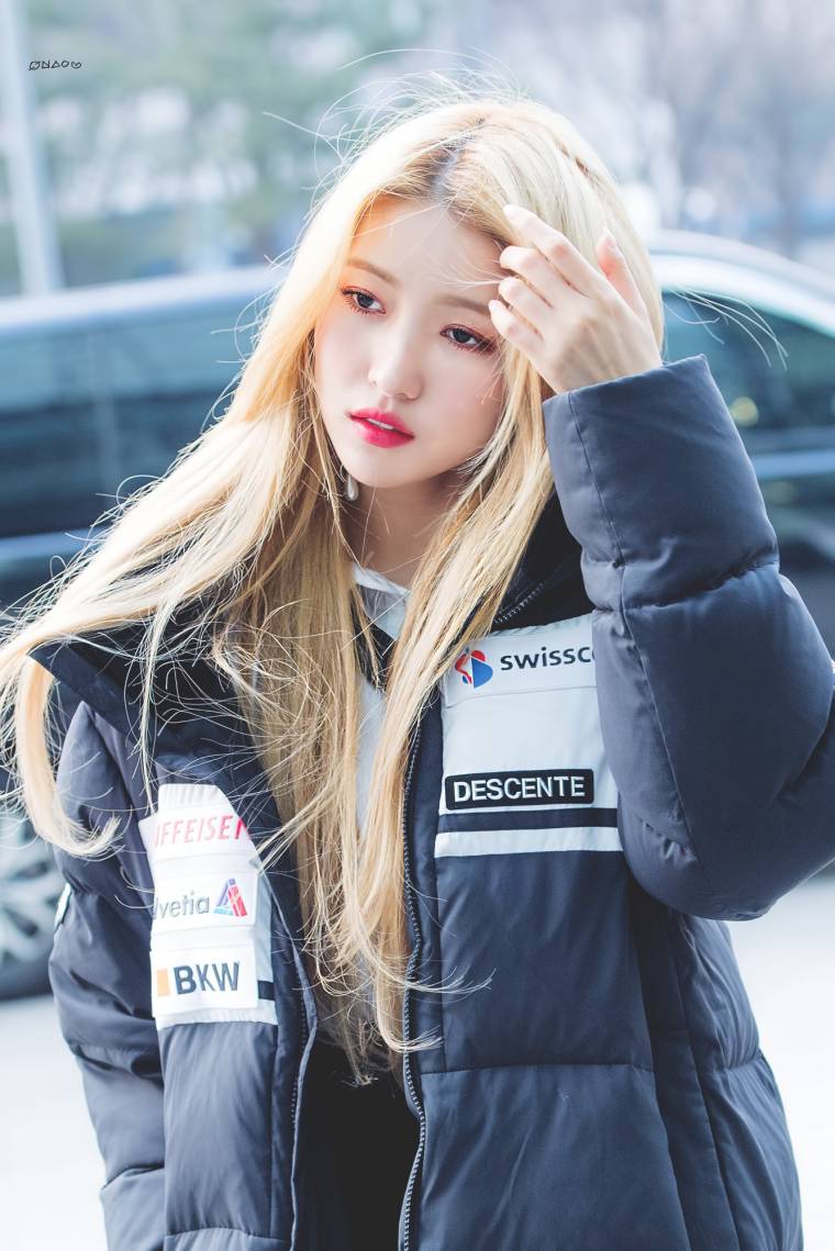20190201203625_wtzafdsz.jpg
