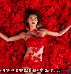 tumblr_mwhh4ejtmz1qdcel5o2_250.gif