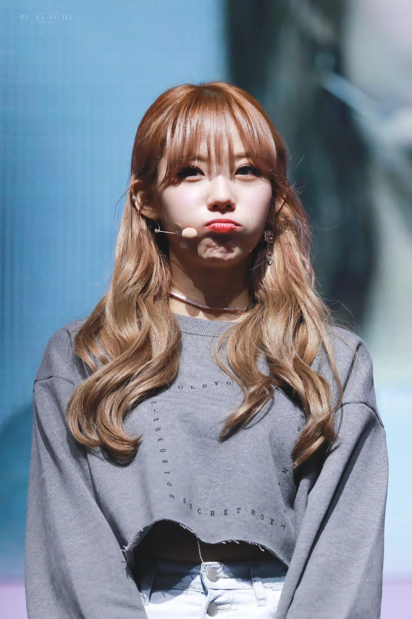 20190309204301_mnibapoe.jpeg