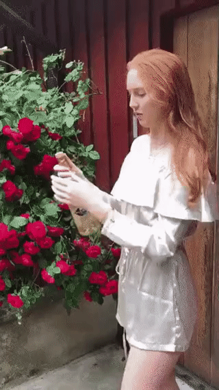 234.gif