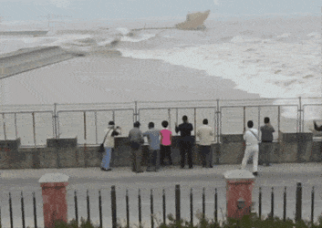 589581_1536058856.gif