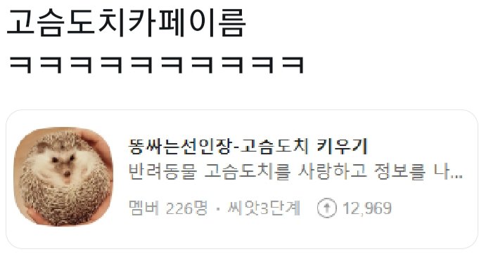 고슴도치 카페이름.jpg