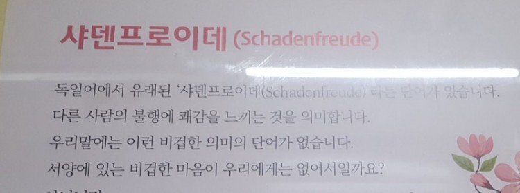 샤덴프로이데.jpg