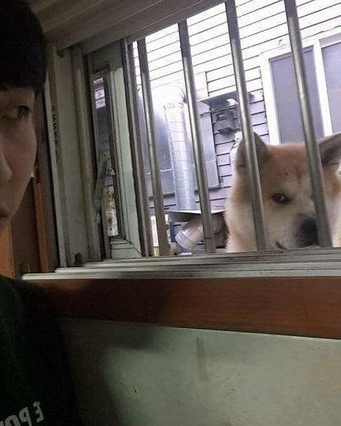 반지하우정.jpg