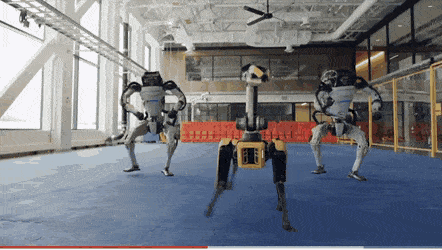 5.gif