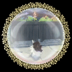 여름.gif